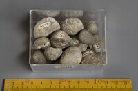 F 03547
<br/>
<br/>
<em></em>